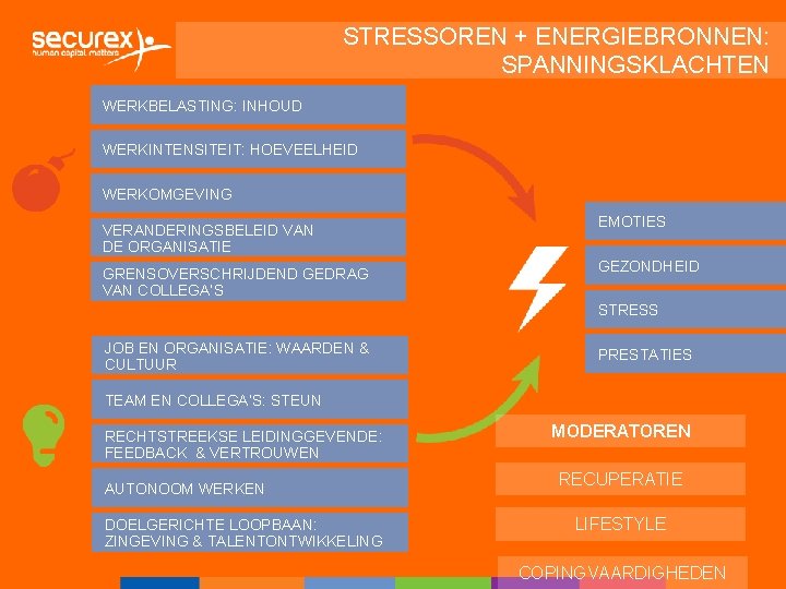 STRESSOREN + ENERGIEBRONNEN: SPANNINGSKLACHTEN WERKBELASTING: INHOUD WERKINTENSITEIT: HOEVEELHEID WERKOMGEVING VERANDERINGSBELEID VAN DE ORGANISATIE GRENSOVERSCHRIJDEND