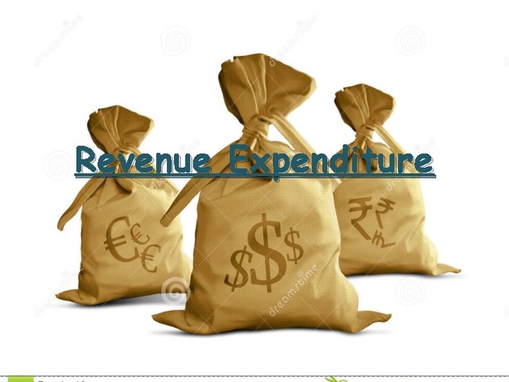 Revenue Expenditure 