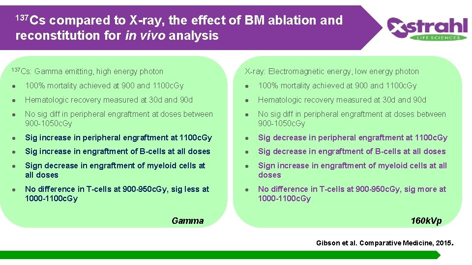 137 Cs compared to X-ray, the effect of BM ablation and reconstitution for in