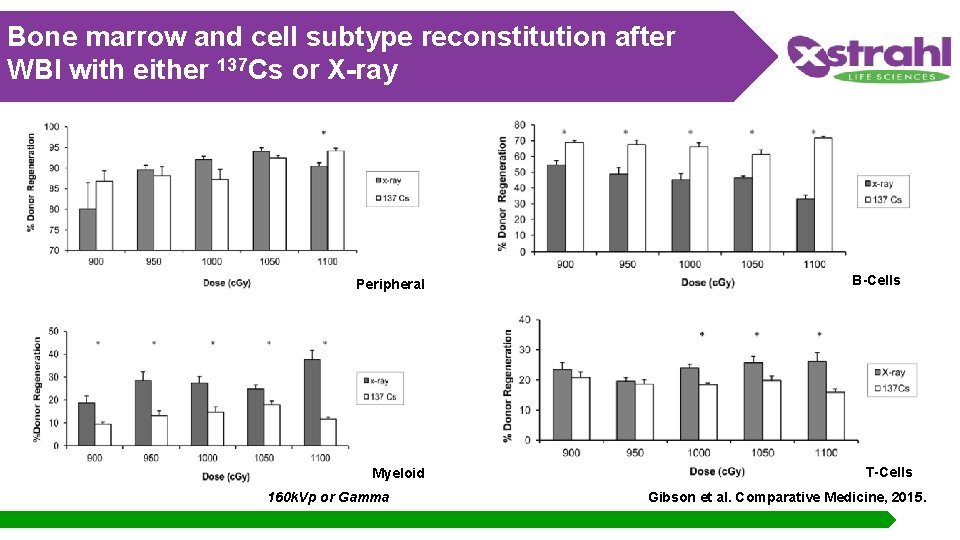 Bone marrow and cell subtype reconstitution after WBI with either 137 Cs or X-ray