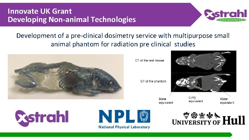 Innovate UK Grant Developing Non-animal Technologies Development of a pre-clinical dosimetry service with multipurpose