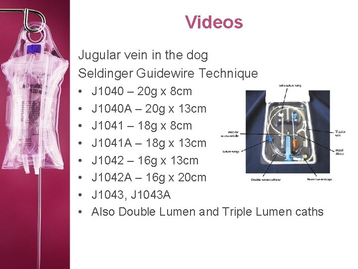 Videos Jugular vein in the dog Seldinger Guidewire Technique • • J 1040 –