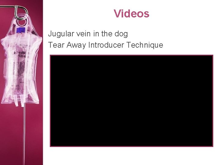 Videos Jugular vein in the dog Tear Away Introducer Technique 