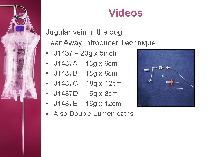 Videos Jugular vein in the dog Tear Away Introducer Technique • • J 1437