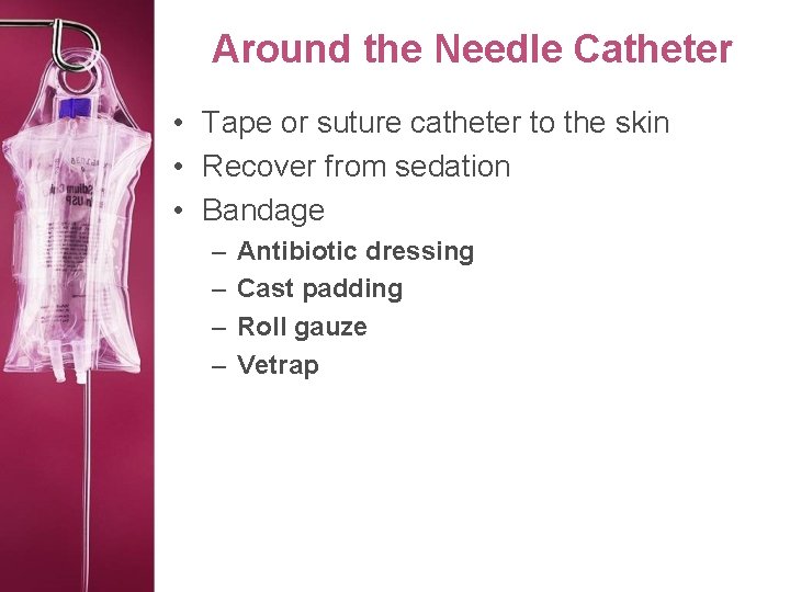 Around the Needle Catheter • Tape or suture catheter to the skin • Recover