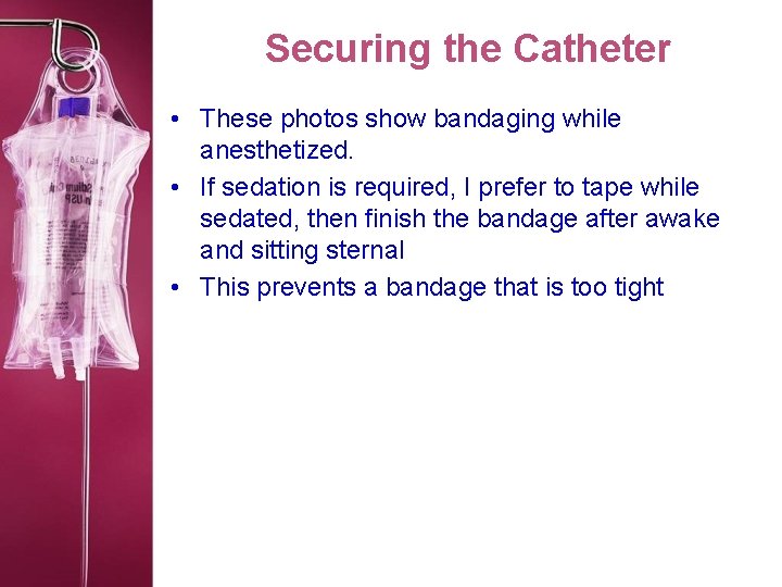 Securing the Catheter • These photos show bandaging while anesthetized. • If sedation is