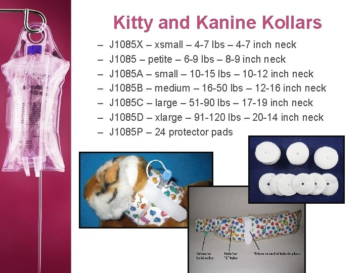 Kitty and Kanine Kollars – – – – J 1085 X – xsmall –