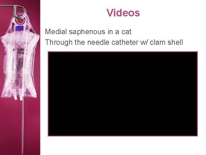 Videos Medial saphenous in a cat Through the needle catheter w/ clam shell 