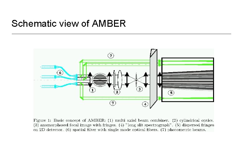 Schematic view of AMBER 