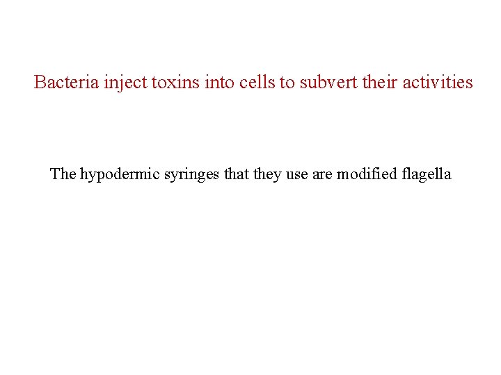 Bacteria inject toxins into cells to subvert their activities The hypodermic syringes that they
