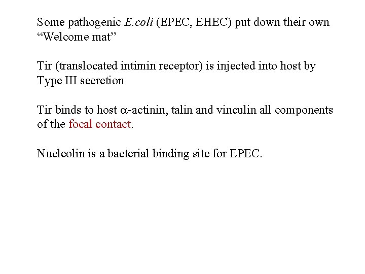 Some pathogenic E. coli (EPEC, EHEC) put down their own “Welcome mat” Tir (translocated