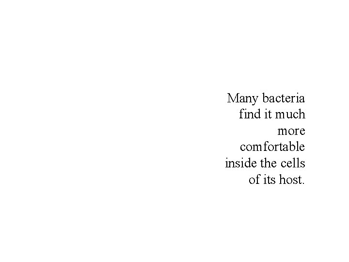 Many bacteria find it much more comfortable inside the cells of its host. 