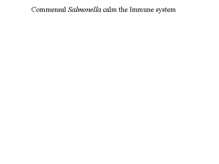 Commensal Salmonella calm the Immune system 