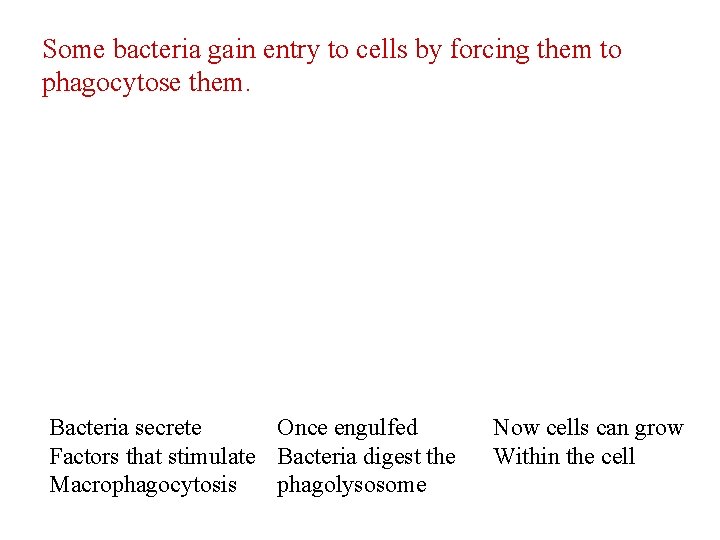 Some bacteria gain entry to cells by forcing them to phagocytose them. Bacteria secrete
