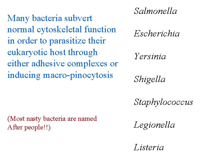 Many bacteria subvert normal cytoskeletal function in order to parasitize their eukaryotic host through