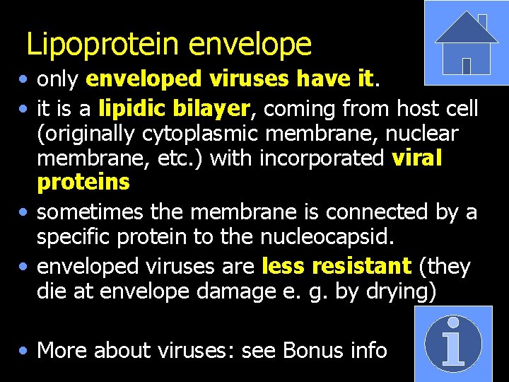 Lipoprotein envelope • only enveloped viruses have it. • it is a lipidic bilayer,