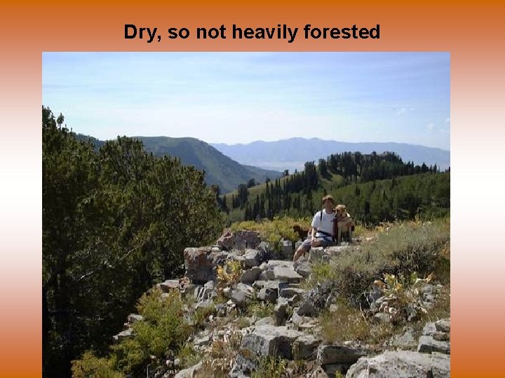 Dry, so not heavily forested 