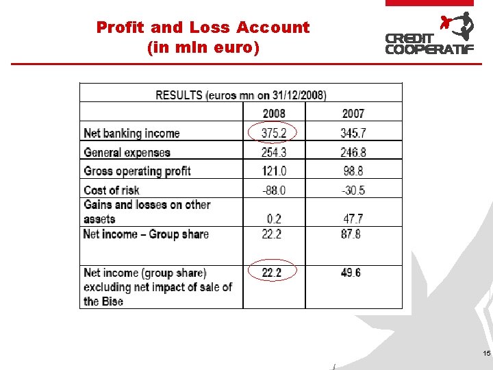 Profit and Loss Account (in mln euro) 15 