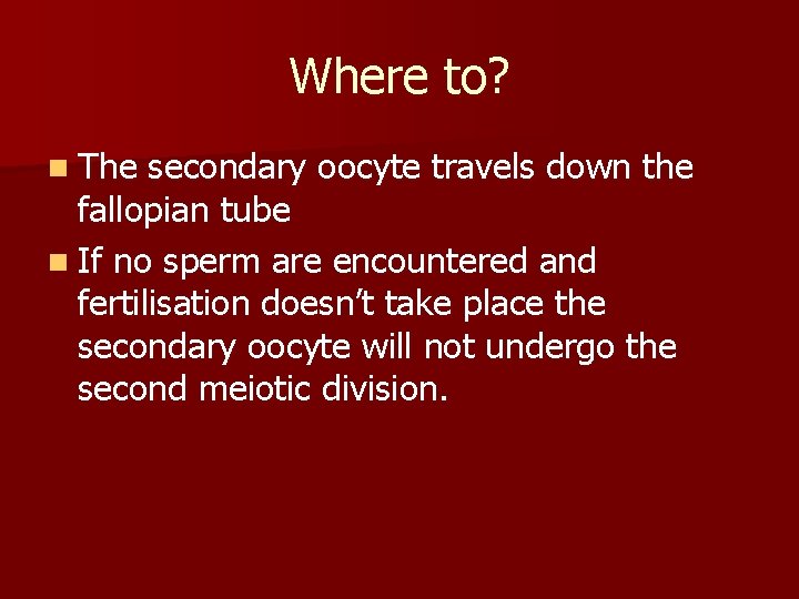 Where to? n The secondary oocyte travels down the fallopian tube n If no