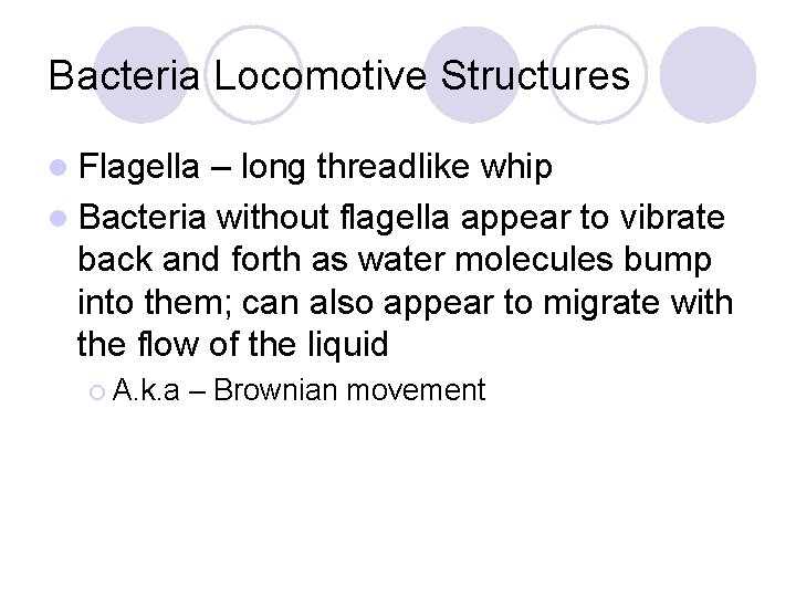 Bacteria Locomotive Structures l Flagella – long threadlike whip l Bacteria without flagella appear