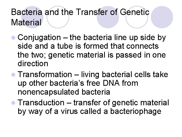 Bacteria and the Transfer of Genetic Material l Conjugation – the bacteria line up