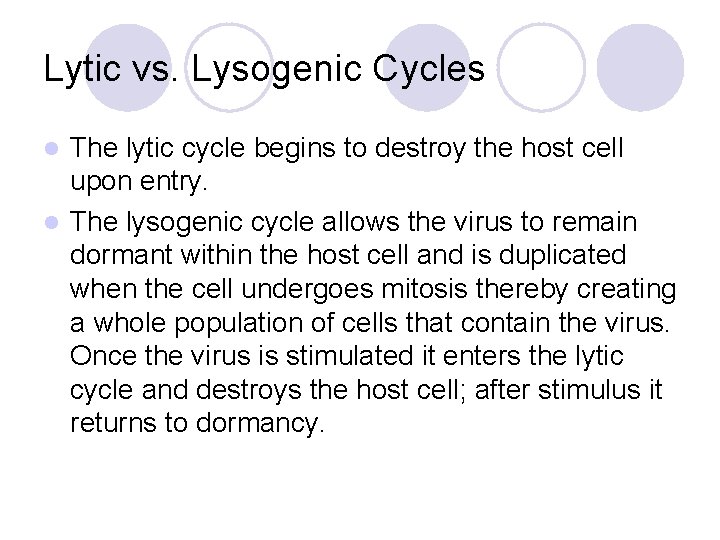 Lytic vs. Lysogenic Cycles The lytic cycle begins to destroy the host cell upon