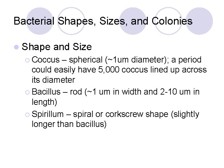 Bacterial Shapes, Sizes, and Colonies l Shape and Size ¡ Coccus – spherical (~1
