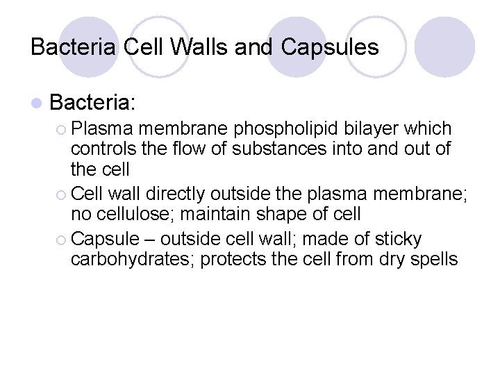 Bacteria Cell Walls and Capsules l Bacteria: ¡ Plasma membrane phospholipid bilayer which controls