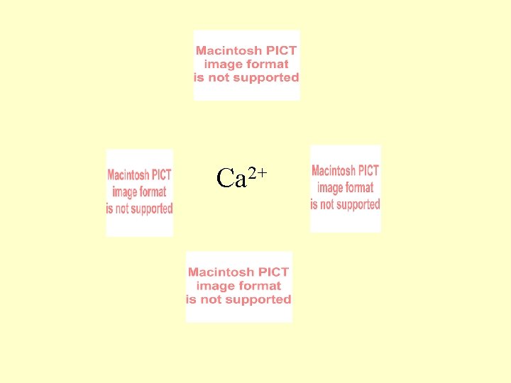 Ca 2+ 