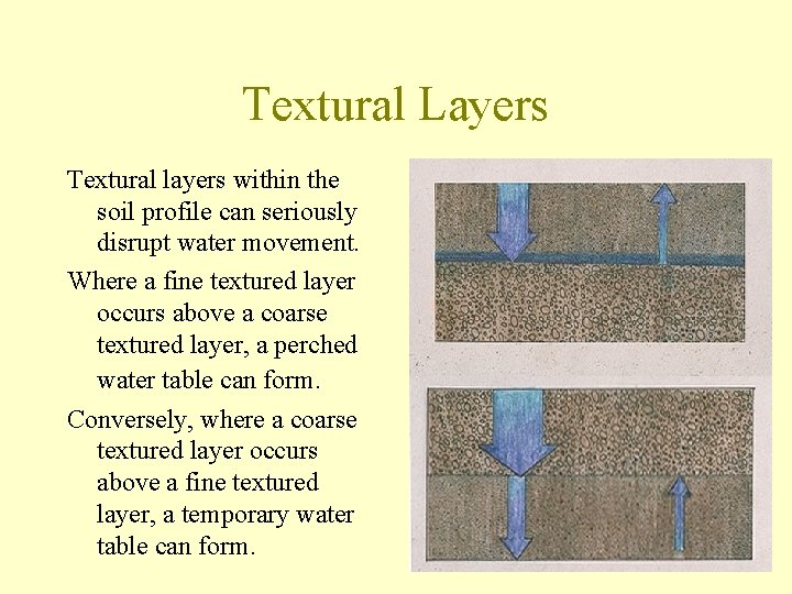 Textural Layers Textural layers within the soil profile can seriously disrupt water movement. Where