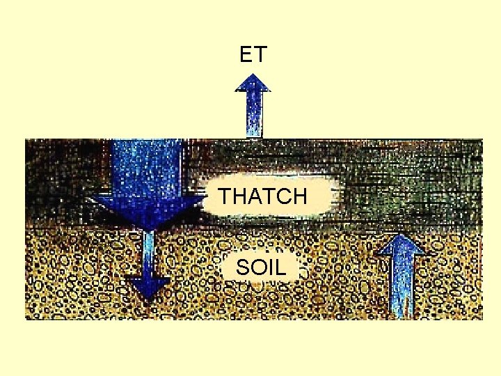 ET THATCH SOIL 