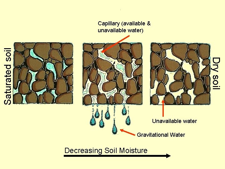 Dry soil Saturated soil Capillary (available & unavailable water) Unavailable water Gravitational Water Decreasing