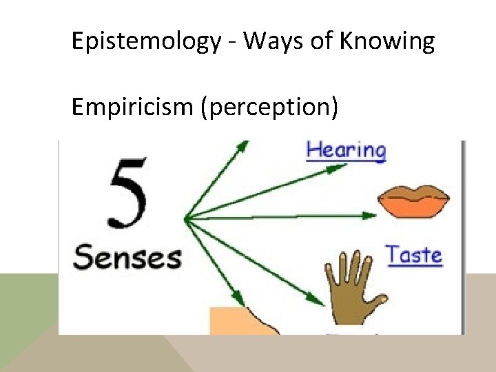 Epistemology - Ways of Knowing Empiricism (perception) 