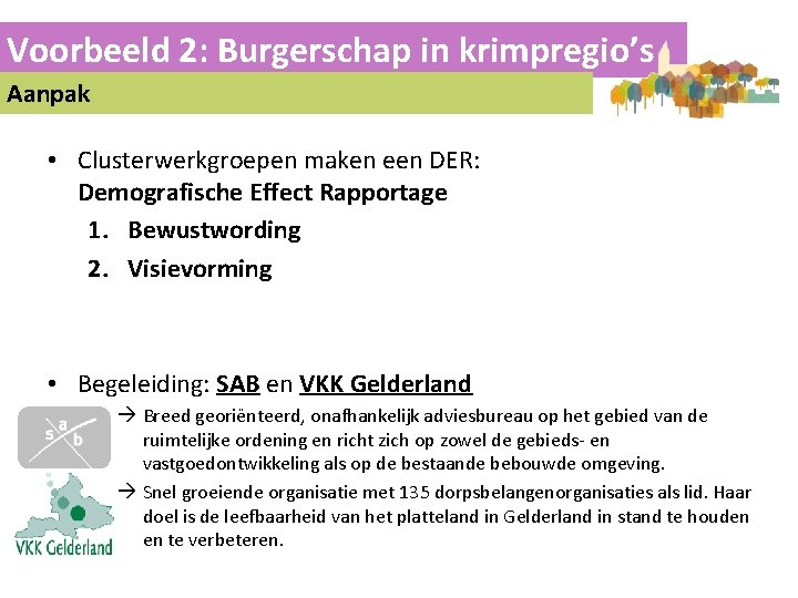 Voorbeeld 2: Burgerschap in krimpregio’s Aanpak • Clusterwerkgroepen maken een DER: Demografische Effect Rapportage