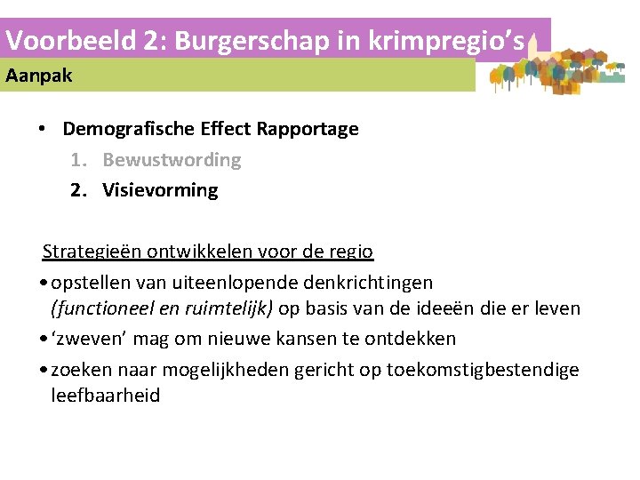 Voorbeeld 2: Burgerschap in krimpregio’s Aanpak • Demografische Effect Rapportage 1. Bewustwording 2. Visievorming