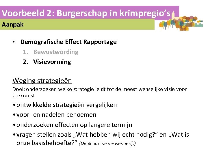 Voorbeeld 2: Burgerschap in krimpregio’s Aanpak • Demografische Effect Rapportage 1. Bewustwording 2. Visievorming