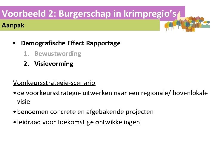 Voorbeeld 2: Burgerschap in krimpregio’s Aanpak • Demografische Effect Rapportage 1. Bewustwording 2. Visievorming