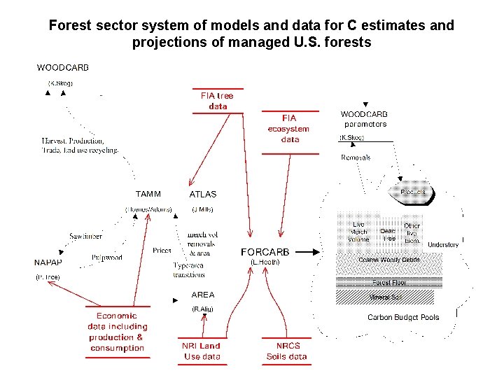 Forest sector system of models and data for C estimates and projections of managed