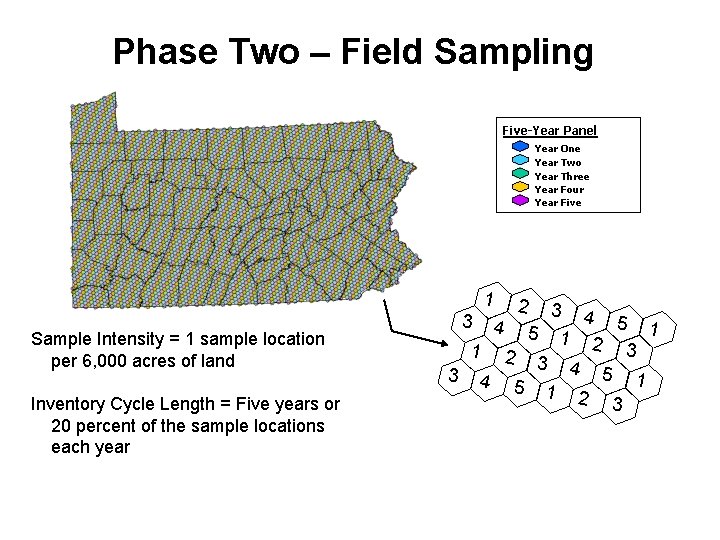 Phase Two – Field Sampling Five-Year Panel Year One Year Two Year Three Year