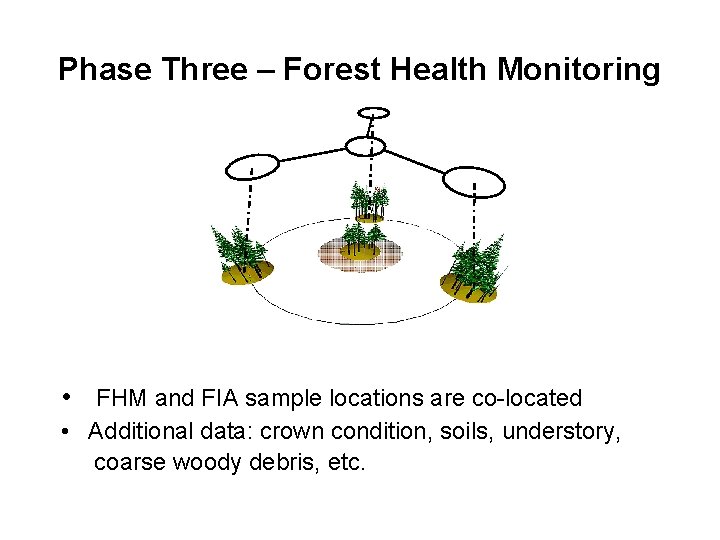 Phase Three – Forest Health Monitoring • FHM and FIA sample locations are co-located