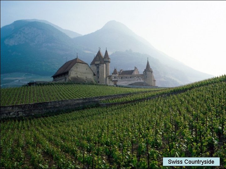 Swiss Countryside 