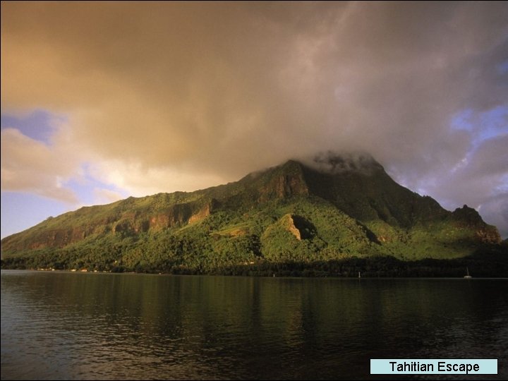 Tahitian Escape 