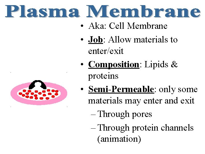  • Aka: Cell Membrane • Job: Allow materials to enter/exit • Composition: Lipids