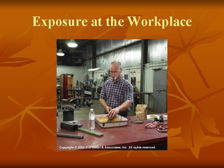 Exposure at the Workplace 