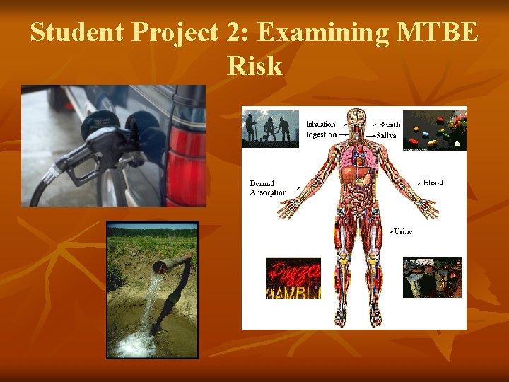 Student Project 2: Examining MTBE Risk 