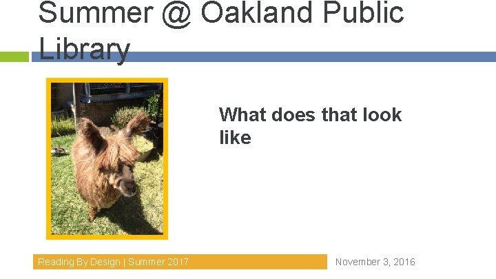 Summer @ Oakland Public Library What does that look like Reading By Design |