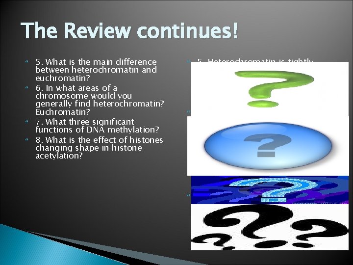 The Review continues! 5. What is the main difference between heterochromatin and euchromatin? 6.