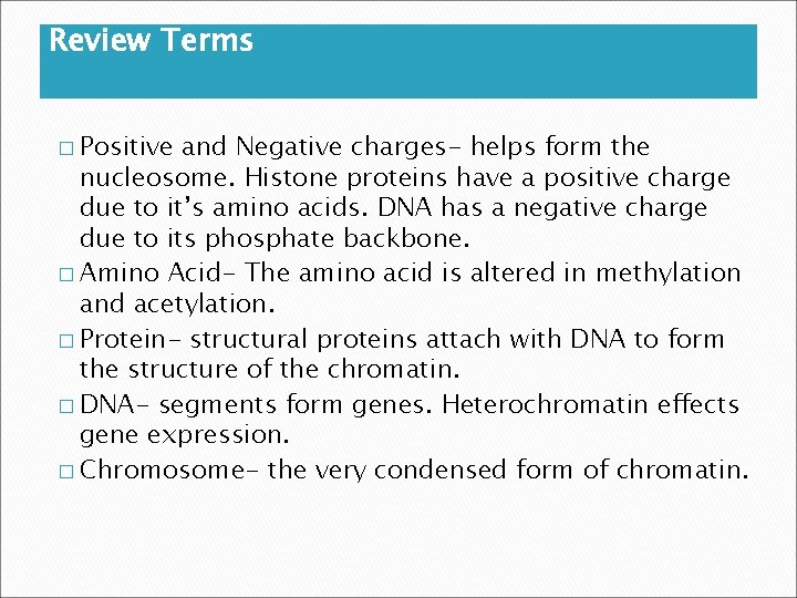 Review Terms � Positive and Negative charges- helps form the nucleosome. Histone proteins have