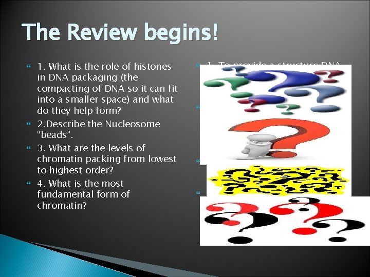 The Review begins! 1. What is the role of histones in DNA packaging (the