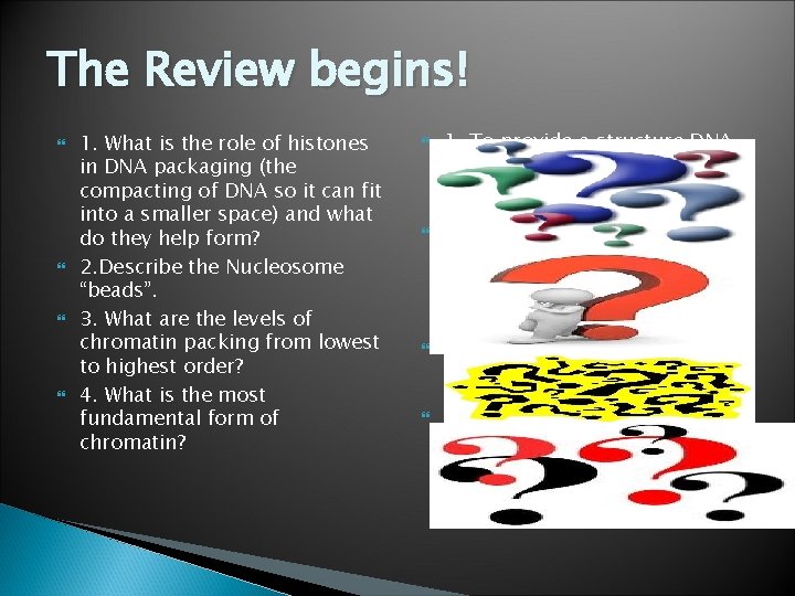 The Review begins! 1. What is the role of histones in DNA packaging (the
